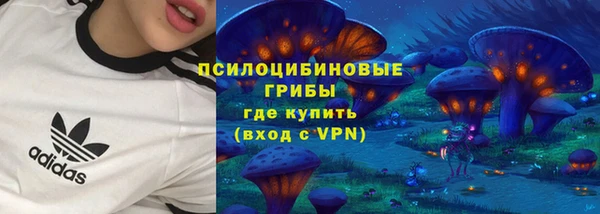 шишки Богданович