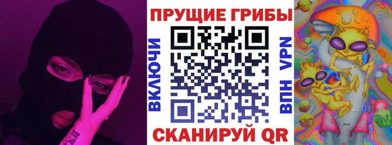 KRAKEN онион  хочу   Новохопёрск  Галлюциногенные грибы Magic Shrooms 